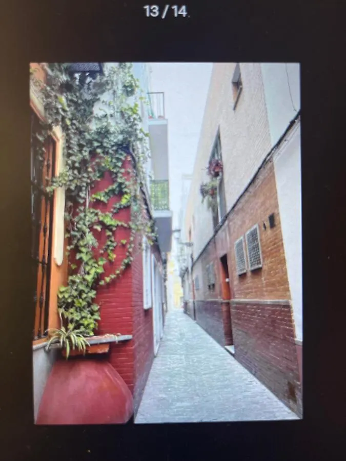 Encantador Apartamento Exclusivo Centrico Seville Apartment