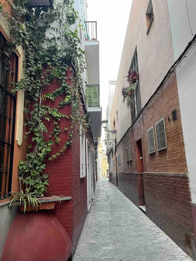 Encantador Apartamento Exclusivo Centrico Seville